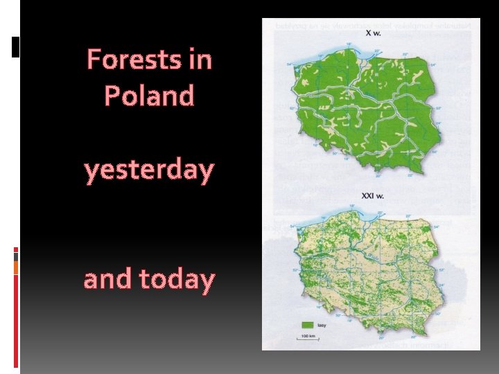 Forests in Poland yesterday and today 