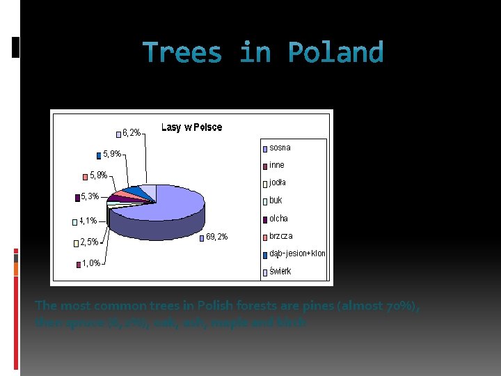 The most common trees in Polish forests are pines (almost 70%), then spruce (6,