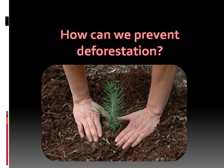 How can we prevent deforestation? 