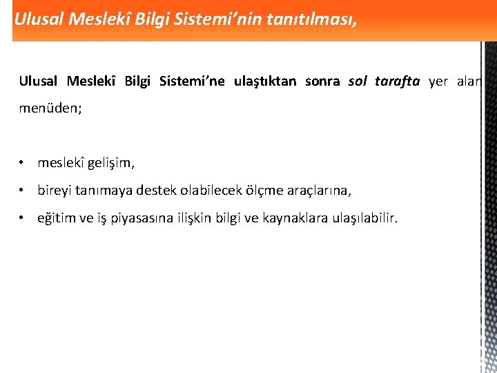 Ulusal Meslekî Bilgi Sistemi’nin tanıtılması, Ulusal Meslekî Bilgi Sistemi’ne ulaştıktan sonra sol tarafta yer