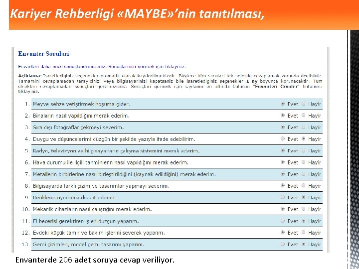 Kariyer Rehberligi «MAYBE» ’nin tanıtılması, Envanterde 206 adet soruya cevap veriliyor. 