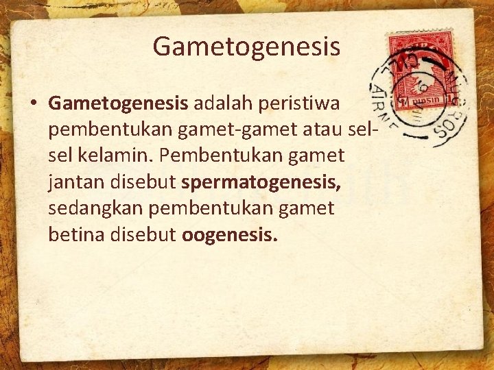 Gametogenesis • Gametogenesis adalah peristiwa pembentukan gamet-gamet atau selsel kelamin. Pembentukan gamet jantan disebut