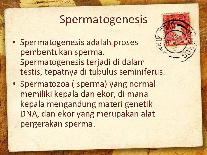 Spermatogenesis • Spermatogenesis adalah proses pembentukan sperma. Spermatogenesis terjadi di dalam testis, tepatnya di