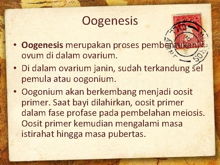 Oogenesis • Oogenesis merupakan proses pembentukan ovum di dalam ovarium. • Di dalam ovarium