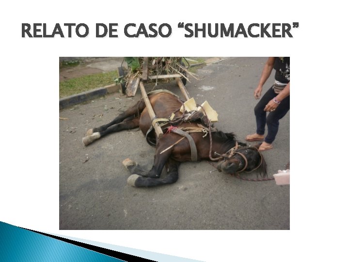 RELATO DE CASO “SHUMACKER” 