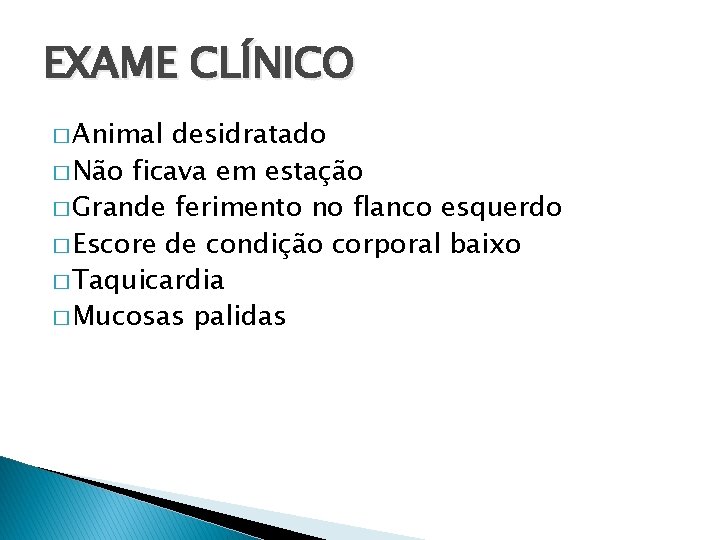 EXAME CLÍNICO � Animal desidratado � Não ficava em estação � Grande ferimento no