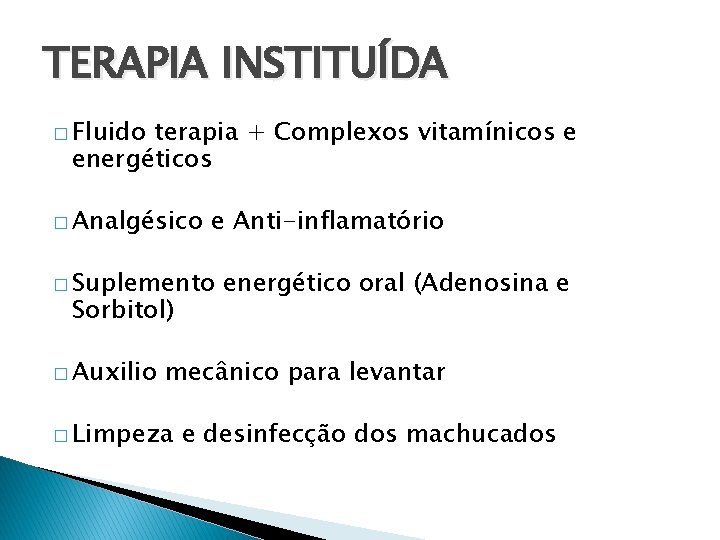TERAPIA INSTITUÍDA � Fluido terapia + Complexos vitamínicos e energéticos � Analgésico e Anti-inflamatório