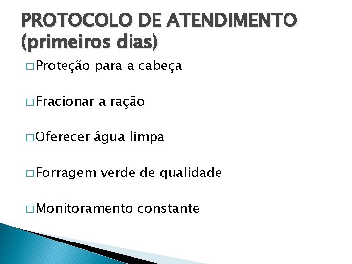 PROTOCOLO DE ATENDIMENTO (primeiros dias) � Proteção para a cabeça � Fracionar � Oferecer