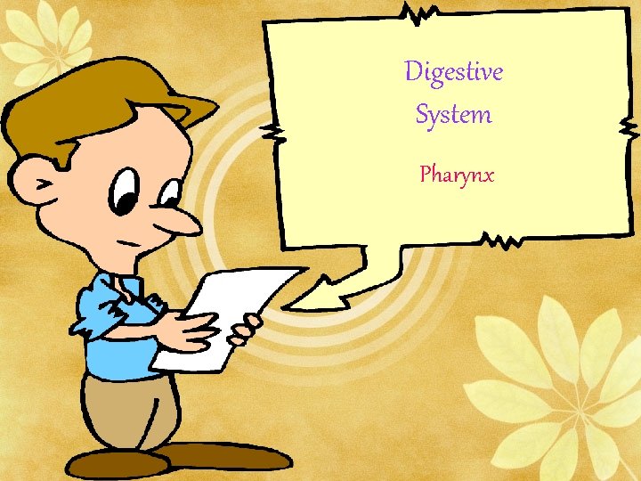 Digestive System Pharynx 