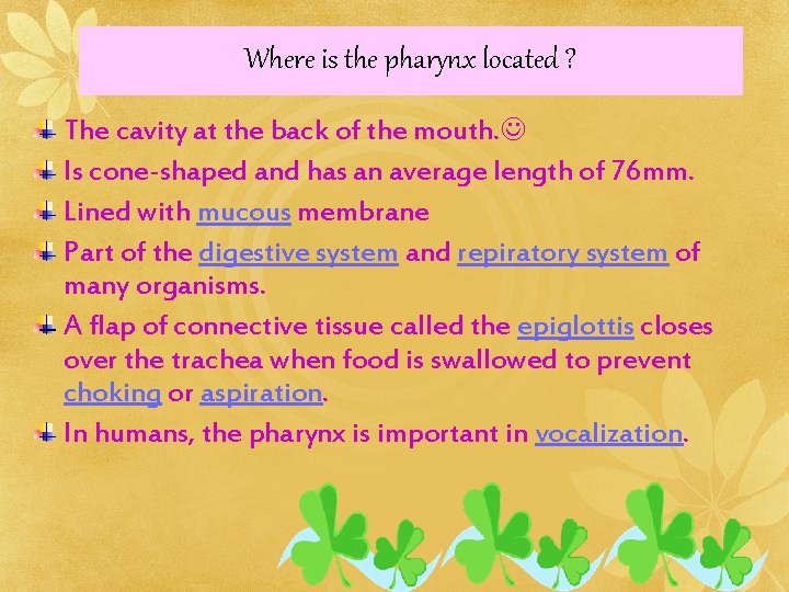Where is the pharynx located ? The cavity at the back of the mouth.