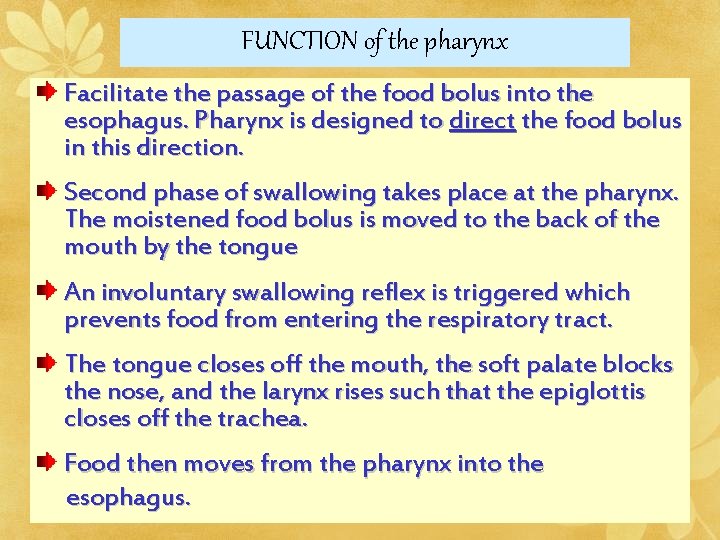 FUNCTION of the pharynx Facilitate the passage of the food bolus into the esophagus.