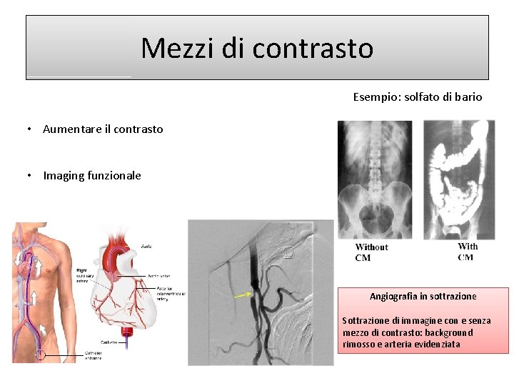 Mezzi di contrasto Esempio: solfato di bario • Aumentare il contrasto • Imaging funzionale