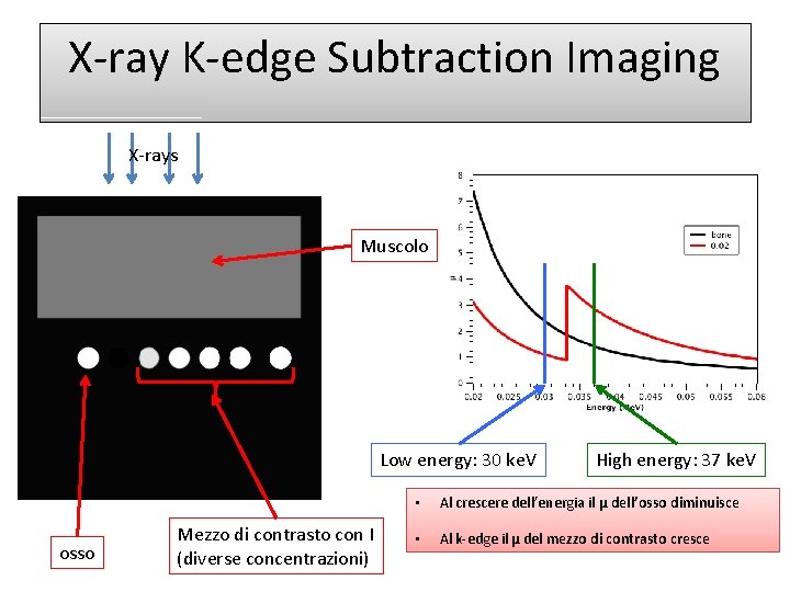 X-ray K-edge Subtraction Imaging X-rays Muscolo Low energy: 30 ke. V osso Mezzo di