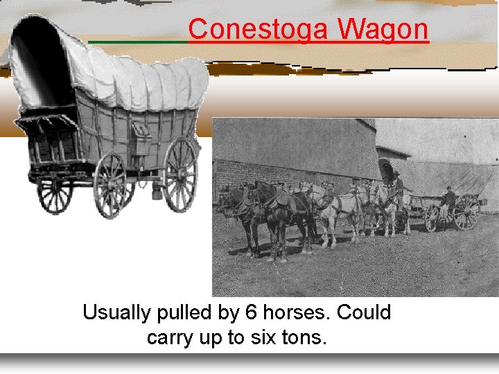 Conestoga Wagon Usually pulled by 6 horses. Could carry up to six tons. 