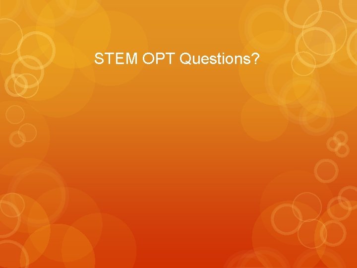 STEM OPT Questions? 