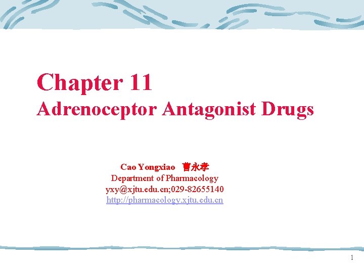 Chapter 11 Adrenoceptor Antagonist Drugs Cao Yongxiao 曹永孝 Department of Pharmacology yxy@xjtu. edu. cn;