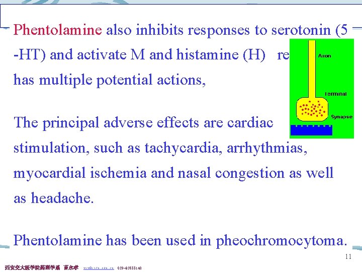 Phentolamine also inhibits responses to serotonin (5 -HT) and activate M and histamine (H)