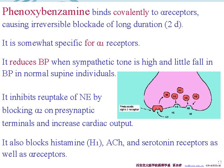 Phenoxybenzamine binds covalently to αreceptors, causing irreversible blockade of long duration (2 d). It