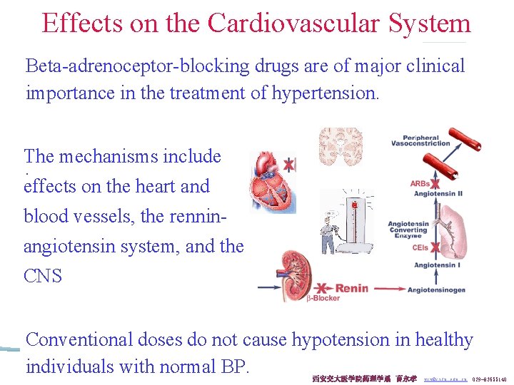 Effects on the Cardiovascular System Beta-adrenoceptor-blocking drugs are of major clinical importance in the