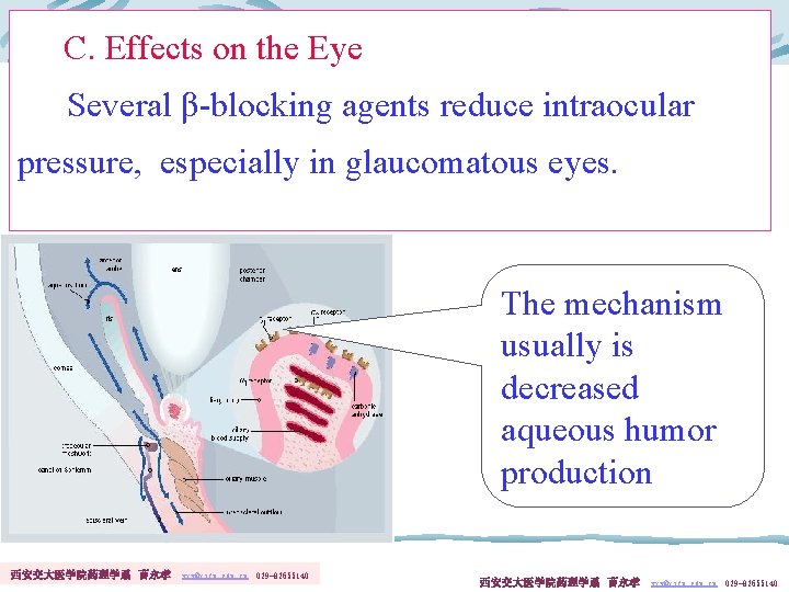 C. Effects on the Eye Several β-blocking agents reduce intraocular pressure, especially in glaucomatous