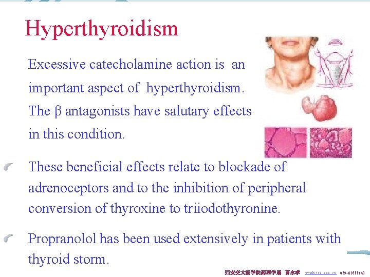 Hyperthyroidism Excessive catecholamine action is an important aspect of hyperthyroidism. The β antagonists have