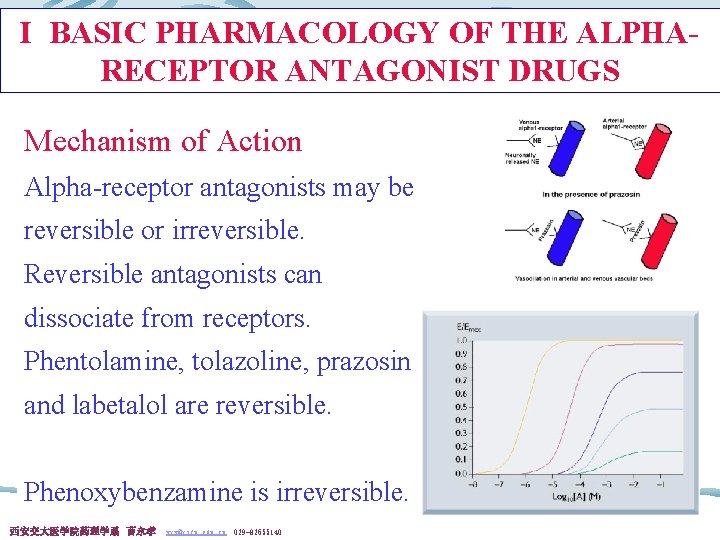 I BASIC PHARMACOLOGY OF THE ALPHARECEPTOR ANTAGONIST DRUGS Mechanism of Action Alpha-receptor antagonists may