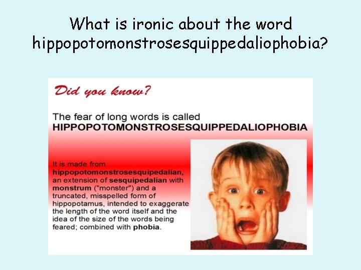 What is ironic about the word hippopotomonstrosesquippedaliophobia? 