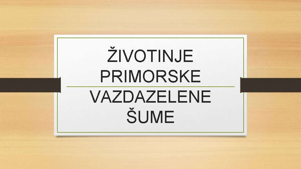 ŽIVOTINJE PRIMORSKE VAZDAZELENE ŠUME 