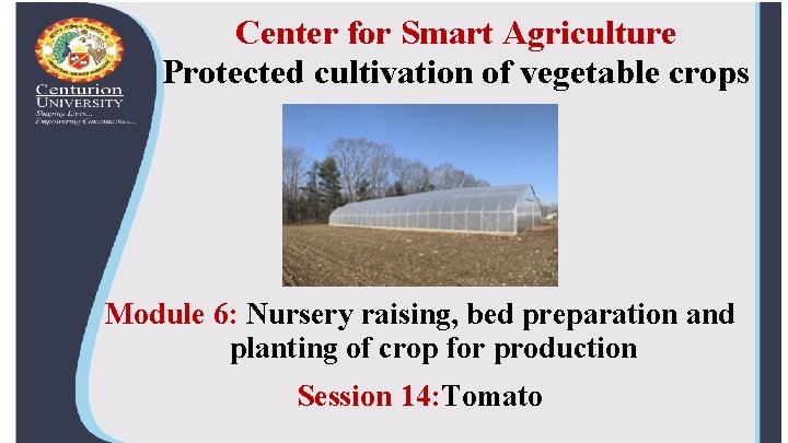 Center for Smart Agriculture Protected cultivation of vegetable crops Module 6: Nursery raising, bed
