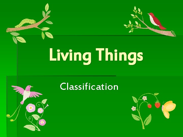 Living Things Classification 