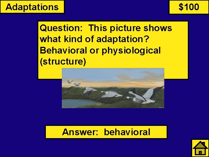 Adaptations $100 Question: This picture shows what kind of adaptation? Behavioral or physiological (structure)