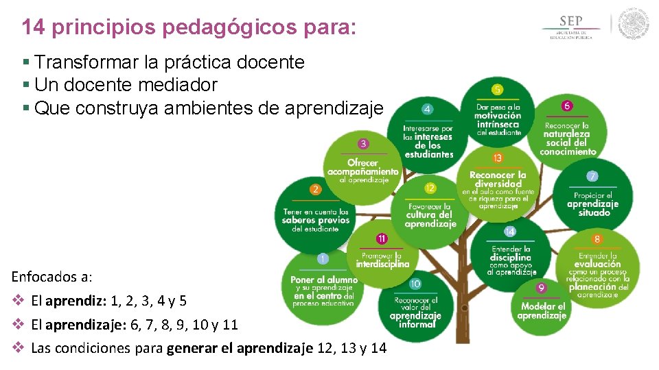 Aprendizajes clave para la educacin Integral Plan y