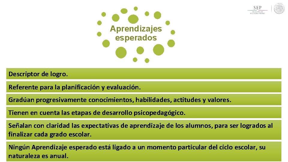 Aprendizajes clave para la educacin Integral Plan y