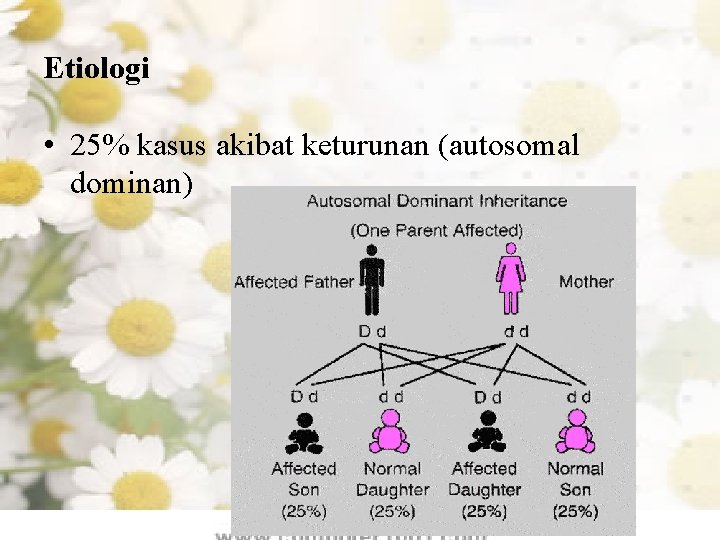 Etiologi • 25% kasus akibat keturunan (autosomal dominan) 