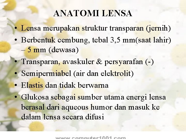ANATOMI LENSA • Lensa merupakan struktur transparan (jernih) • Berbentuk cembung, tebal 3, 5