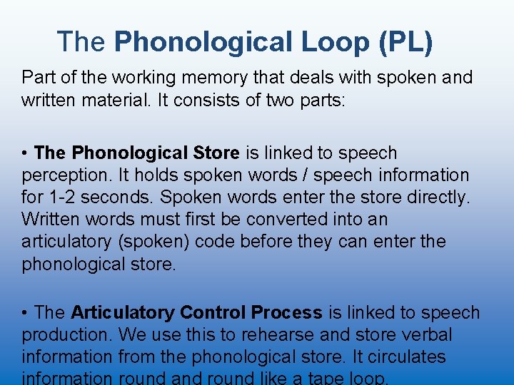 The Phonological Loop (PL) Part of the working memory that deals with spoken and