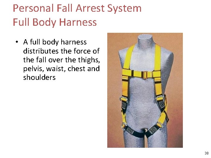 Personal Fall Arrest System Full Body Harness • A full body harness distributes the