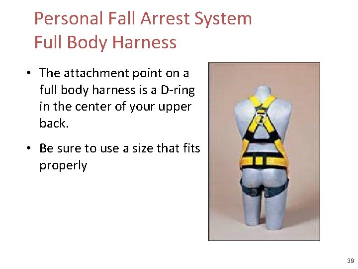 Personal Fall Arrest System Full Body Harness • The attachment point on a full