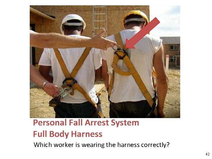 Personal Fall Arrest System Full Body Harness Which worker is wearing the harness correctly?