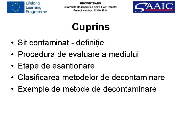Cuprins • • • Sit contaminat - definiție Procedura de evaluare a mediului Etape