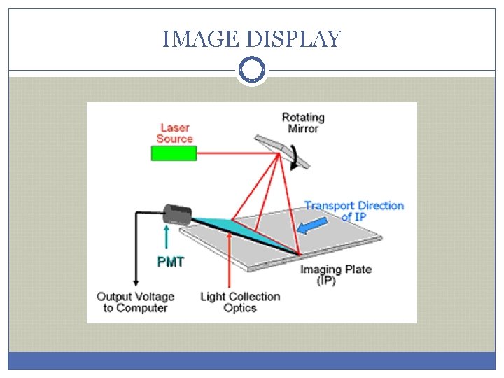 IMAGE DISPLAY 