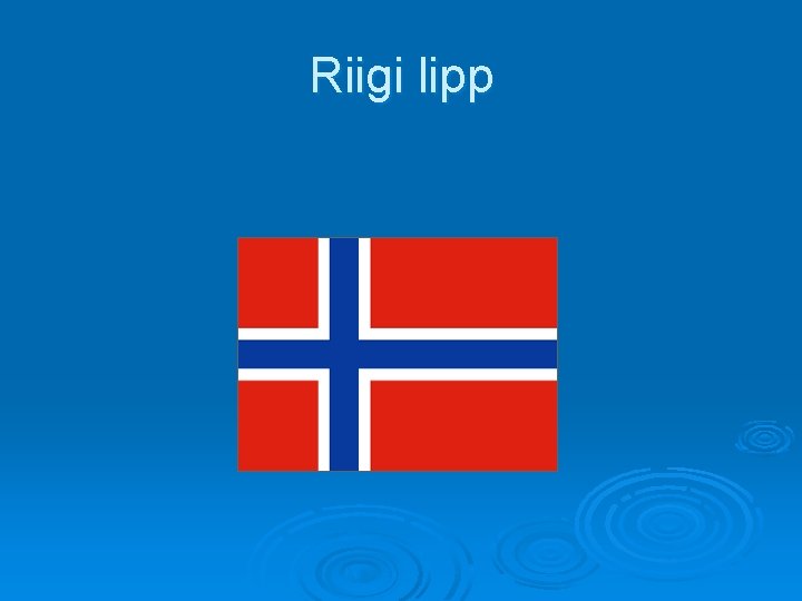 Riigi lipp 