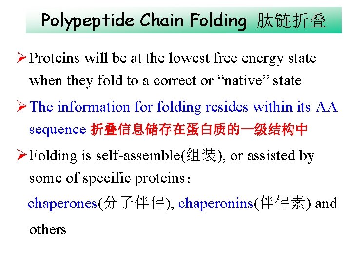 Polypeptide Chain Folding 肽链折叠 Ø Proteins will be at the lowest free energy state Polypeptide Chain Folding 肽链折叠 Ø Proteins will be at the lowest free energy state