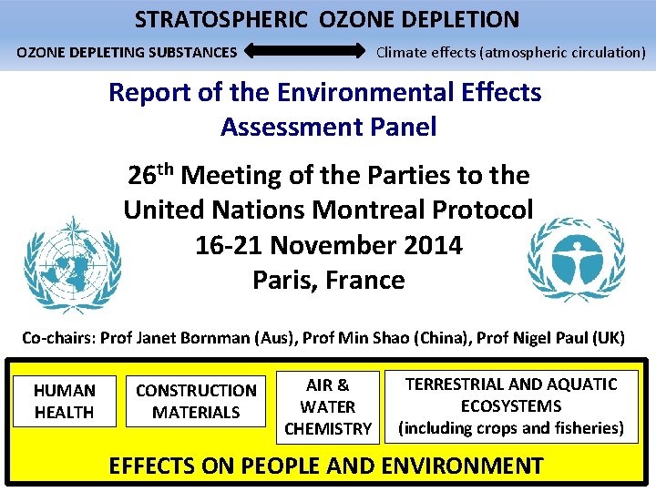 STRATOSPHERIC OZONE DEPLETION OZONE DEPLETING SUBSTANCES Climate effects (atmospheric circulation) Report of the Environmental