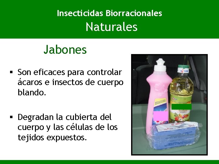 Insecticidas Biorracionales Naturales Jabones § Son eficaces para controlar ácaros e insectos de cuerpo