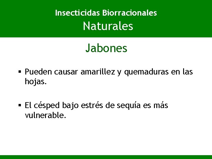 Insecticidas Biorracionales Naturales Jabones § Pueden causar amarillez y quemaduras en las hojas. §