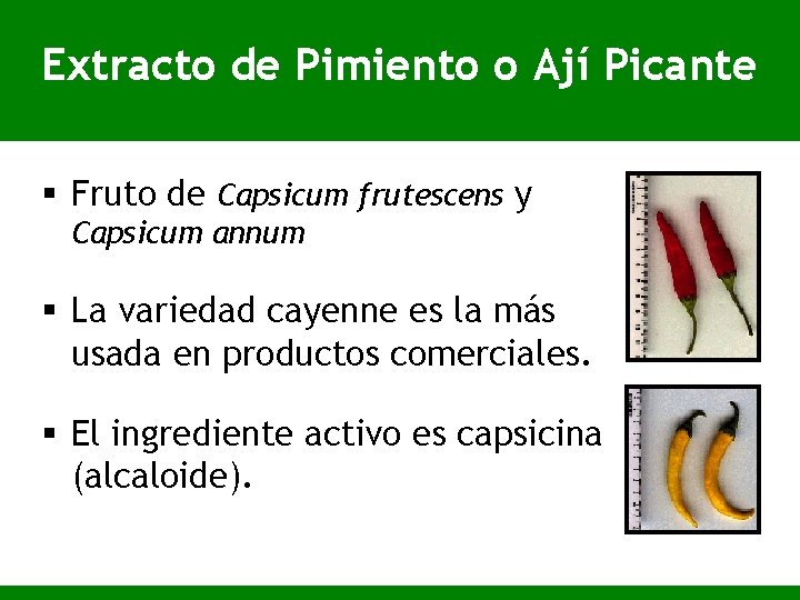 Extracto de Pimiento o Ají Picante § Fruto de Capsicum frutescens y Capsicum annum