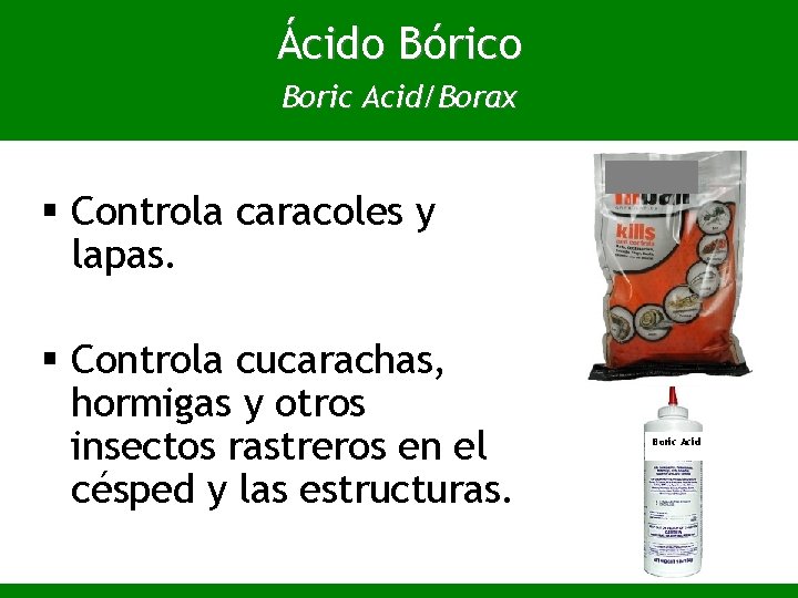 Ácido Bórico Boric Acid/Borax § Controla caracoles y lapas. § Controla cucarachas, hormigas y