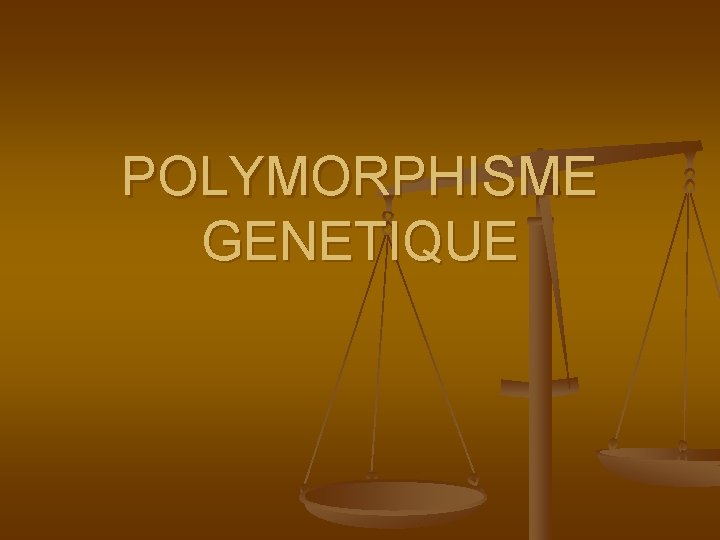 POLYMORPHISME GENETIQUE 