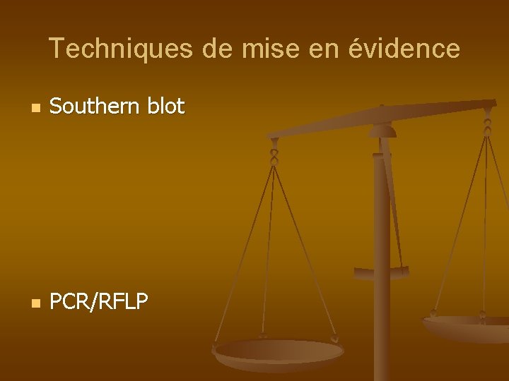 Techniques de mise en évidence n Southern blot n PCR/RFLP 
